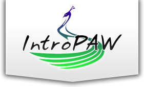 IntroPaw.pl